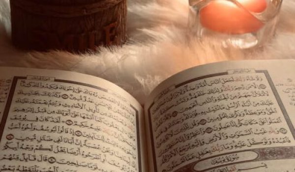 pexels-fatemah-khaled-3936216-2-1-qa1fcyhq4k7kz1qbj4irtgar5x4xvsy5o67hjsgo7o